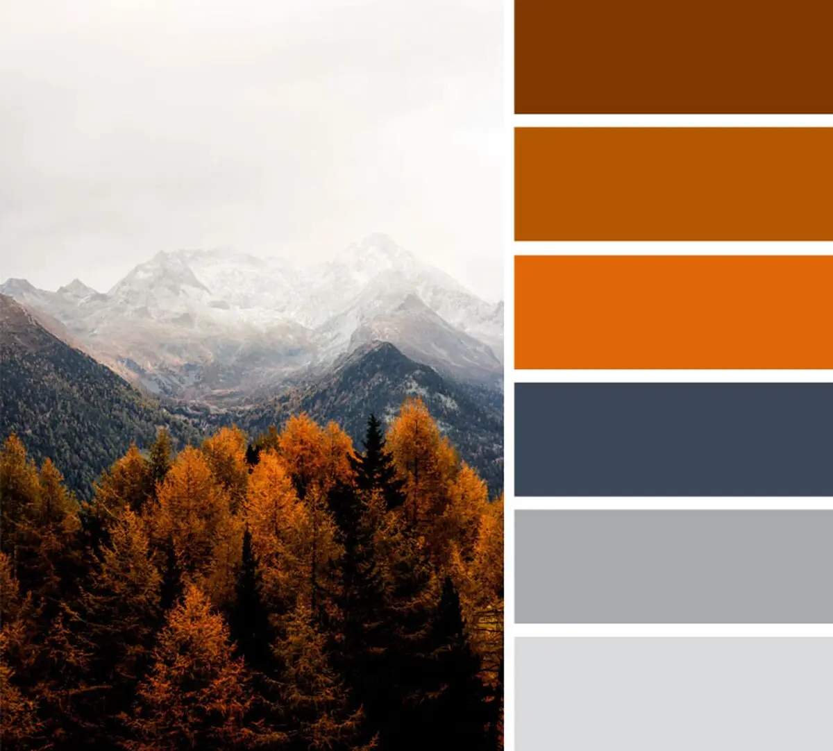 Orange-Nature