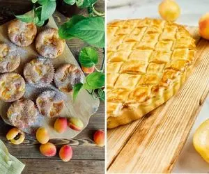 طرز تهیه پای زردآلو؛ یه خوشمزه دلبر که نمیشه ازش گذر کرد