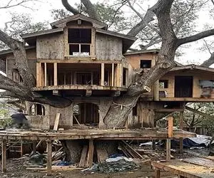 معماری خلاقانه؛ خونه درختی از هم پاشیده رو جوری دوباره سر هم کردن میلیون دلاری میارزه