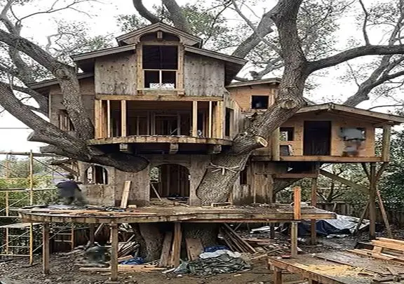 معماری خلاقانه؛ خونه درختی از هم پاشیده رو جوری دوباره سر هم کردن میلیون دلاری میارزه