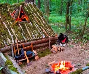 معماری خلاقانه؛ آقاهه تو جنگل واسه خودشو سگش کلبه ساخته باید دولا بره توش پنجره سقفشو