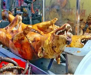 فرآوری سگ؛ سگ‌های فربه رو بریونی میکنن با روغن داغ چرب و تو نون سرو میکنن