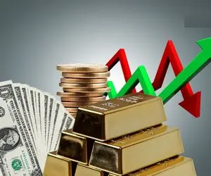 دلار در دولت پزشکیان از سکه افتاد! / طلا برنده میدان نوسانات شد
