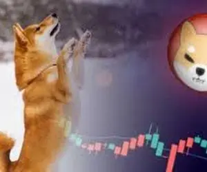 کیف پول ۵۱ درصدی شیبا اینو!!