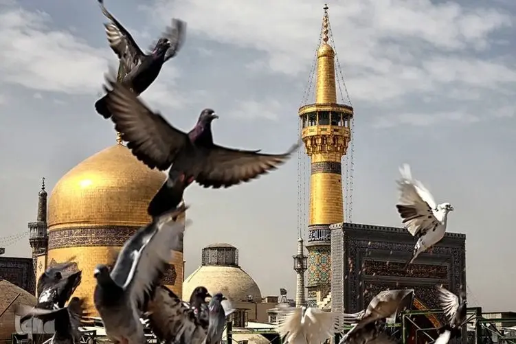 آواز احساسی؛ پسر پر تکبر با چه هق هقی تو حرم امام رضا (ع) میخونه