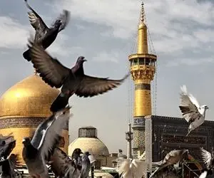 آواز احساسی؛ پسر پر تکبر با چه هق هقی تو حرم امام رضا (ع) میخونه