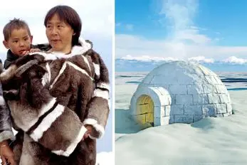 اسکیموها؛ از زندگی روی لبه مرگ تا هنر بقا در احاطه یخ؛ راز بقای مردم بومی قطب شمال