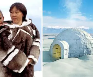 اسکیموها؛ از زندگی روی لبه مرگ تا هنر بقا در احاطه یخ؛ راز بقای مردم بومی قطب شمال
