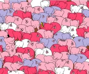 بازی فکری؛ اگه نمیخوای با هوشت مغالطه کنن بین فیل ها قلب و جادوگر رو پیدا کن