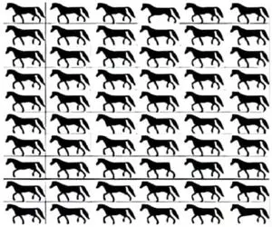 بازی فکری؛ افت لاتی ماتی داره اگه نتونی بگی چندتا اسب ۳ تادست و پادارن؟