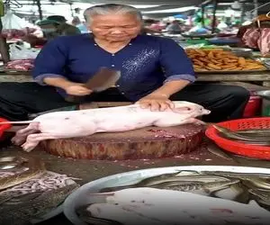 غذای موندار؛ پیرزن جای فک کردن به توشه آخرت نشسته هر چی حیوون و جونور نکبته میفروشه