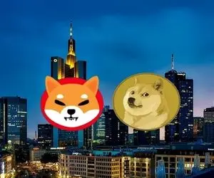 دوج کوین و شیبااینو گل کاشتن؟