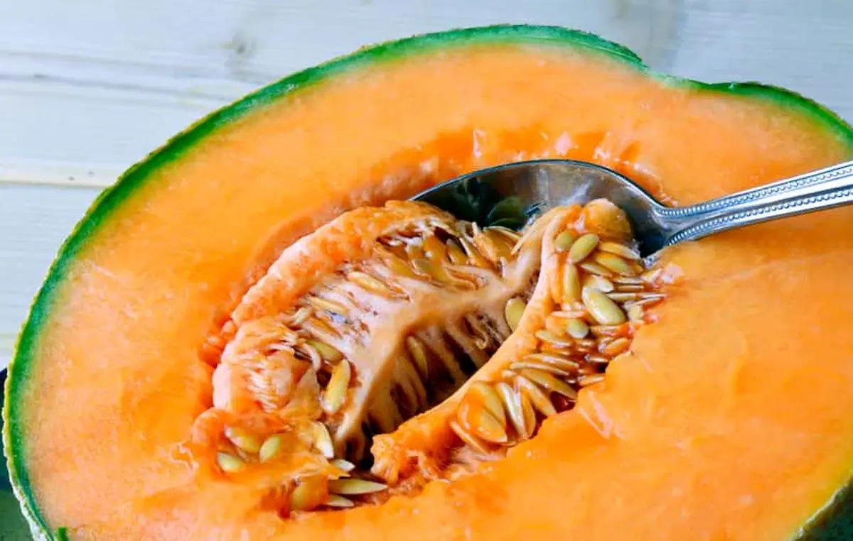 cantaloupe-seeds-benefits-04
