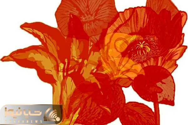 optical illusion personality test reveals the true you