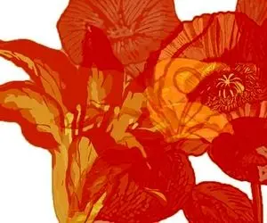 این تست تصویری رو انجام بده تا ویژگی های شخصیتیت رو عین آب خوردن فاااش کنم!