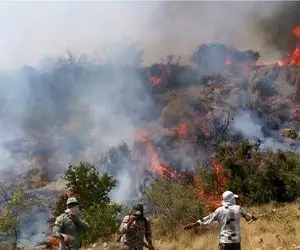 هواپیماهای آب‌پاش ترکیه ای وارد ایران شدند/ آتش جنگل‌های الیت خاموش شد؟