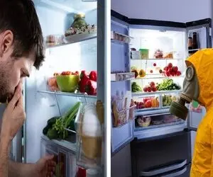 دیگه قرار نیست بوی بد یخچال رو تحمل کنی و سگرمه هات بره تو هم؛ با این ترفندا نابودش کن