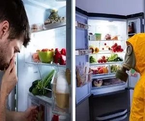 دیگه قرار نیست بوی بد یخچال رو تحمل کنی و سگرمه هات بره تو هم؛ با این ترفندا نابودش کن