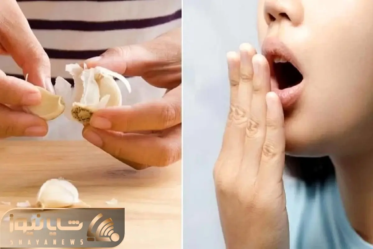 رفع بوی بد سیر از دهان در کمترین زمان برای وقتی که عجله دارید؛ فقط با یه میوه دردسترس