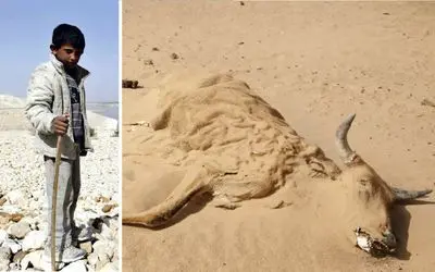 آب، نفت جدید خاورمیانه؛ جنگ جهانی سوم در خاورمیانه جرقه خواهد زد!