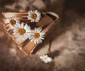داستان شب؛ یه قصه جذاب و آموزنده که یه کَمَکی خاطرات بچگیت رو زنده میکنه