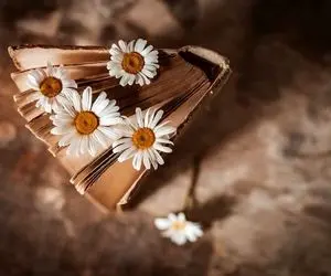 داستان شب؛ یه قصه جذاب و آموزنده که یه کَمَکی خاطرات بچگیت رو زنده میکنه