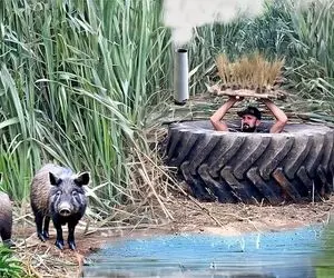 معماری خلاقانه؛ آقاهه توی جنگل زیر زمین رو کنده مخفیگاه ساخته درش لاستیک هیجده چرخ