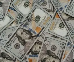 قیمت دلار امروز یکشنبه 11 مرداد 1405 / دلار از مرز تاریخی گذشت!