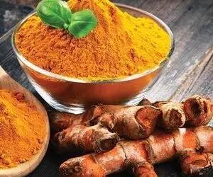 تاثیر زردچوبه بر مهار کرونا ثابت شد