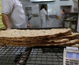 وضعیت قیمت نان در فصل جاری