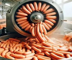 فرآوری خوک؛ برای تولید سوسیس خوش رنگ و لعاب خوک حرومی صورتی و زنده چرخ کرد