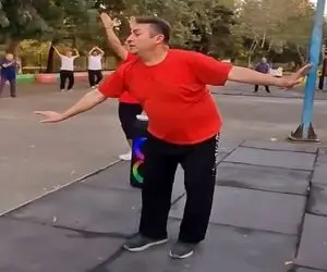 آواز شاد؛ راست میگن دود از کنده بلند میشن پیرمردا تو پارک با رقصشون گرد و خاک پا کردن