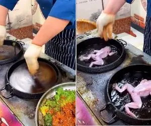 غذا جیگر درار؛ قورباغه رو پوست میکنه تو تابه دل و رودشو پرس میکنه جزغال تحویل میده