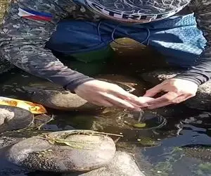 مستند کاوش؛ مرد یه دونه تخم مرغ ۸ هزار تومنی انداخت تو آب یه ماهی نایاب میلیونی گرفت