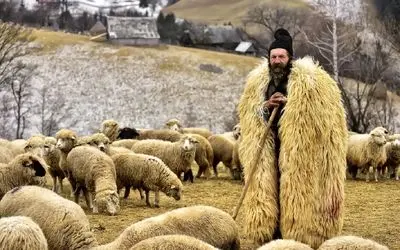 آواز شاد؛ جوپان تو صحرا برای گوسفنداش میخونه میرقصه اون بع بع میکنن