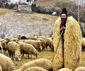 آواز شاد؛ جوپان تو صحرا برای گوسفنداش میخونه میرقصه اون بع بع میکنن