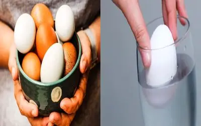 چطوری بفهمیم تخم مرغ سالمه یا خراب؟/ رازهای تشخیص تخم مرغ تازه که باید بدونی!
