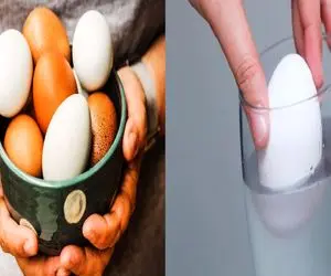 چطوری بفهمیم تخم مرغ سالمه یا خراب؟/ رازهای تشخیص تخم مرغ تازه که باید بدونی!