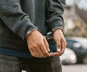 فردی که 27 سگ خانگی را دزدیده بود، توسط نیرو های پلیس دستگیر شد 