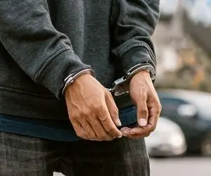 فردی که 27 سگ خانگی را دزدیده بود، توسط نیرو های پلیس دستگیر شد 