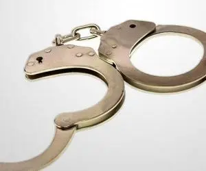 دستگیری زمین خوار میلیاردی در کرج
