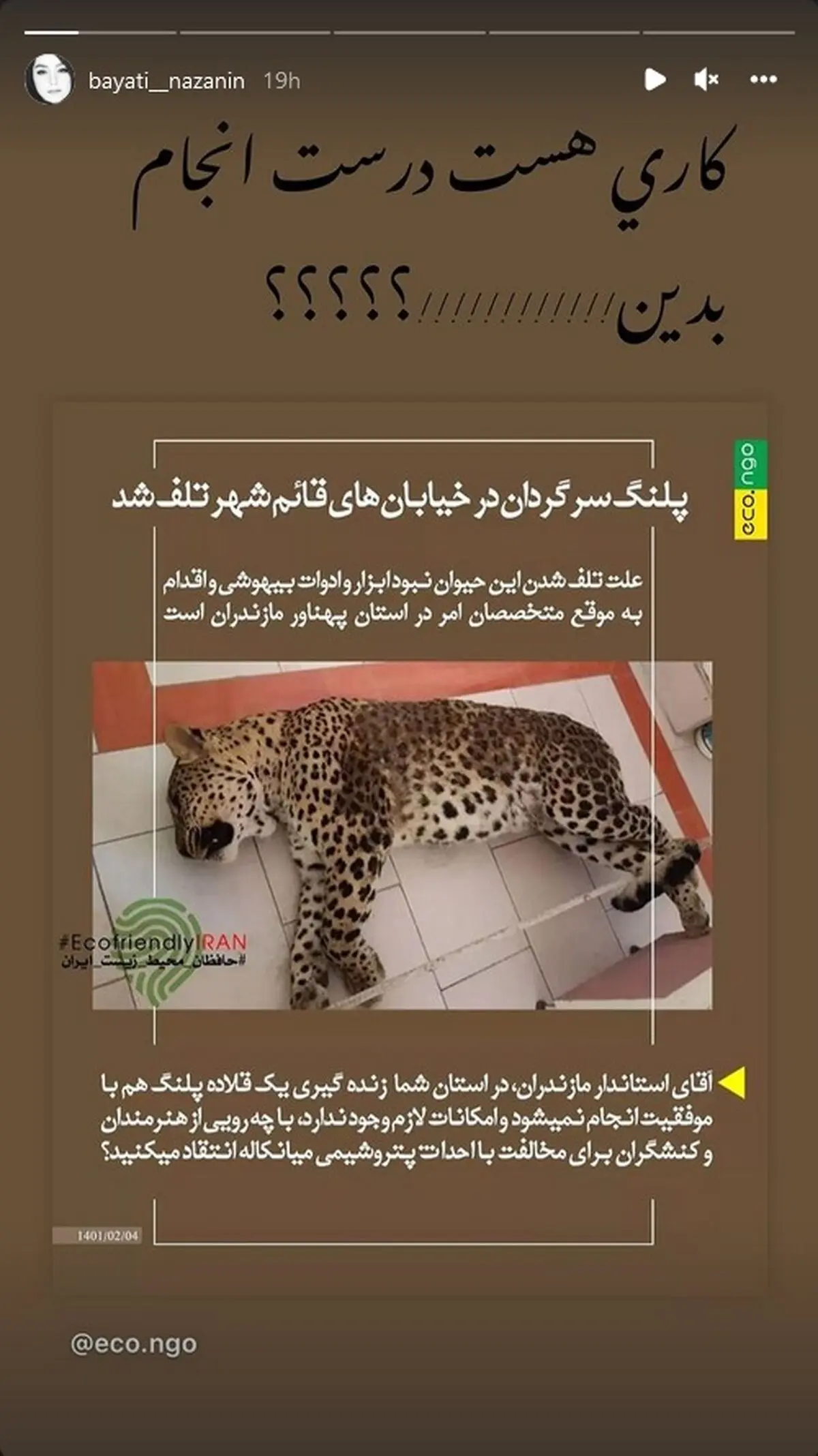 واکنش+هنرمندان+به+تلف+شدن+پلنگ+در+قائم+شهر