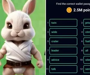 اینگما راکی رابیت (rocky rabbit) امروز پنج شنبه 8 شهریور + آموزش وارد کردن