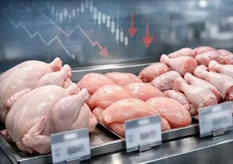 قیمت مرغ امروز دوشنبه ۲۸ اردیبهشت ۱۴۰۵ + جدول