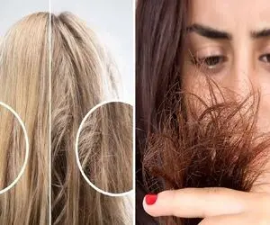 از بین بردن موخوره با سه روغن گیاهی؛ رفع چند شاخه شدن زیاده مو در 1 هفته بدون کوتاهی