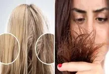 از بین بردن موخوره با سه روغن گیاهی؛ رفع چند شاخه شدن زیاده مو در 1 هفته بدون کوتاهی