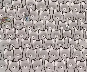 بازی فکری؛ باید چشمای آتیشی و پر زرق و برق داشته باشی تا گربه رو پیدا کنی