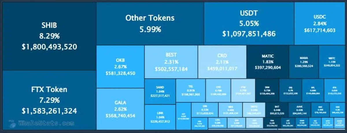 shiba inu