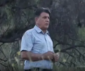آواز ماندگار؛ استاد شجریان آهنگ دل از من برد روی از من نهان کرد و تو جنگل با حس خوند