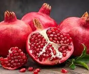 تعبیرخواب انار،چیدن تا فروش انار در خواب